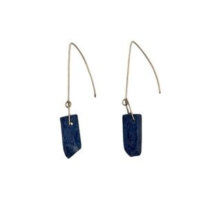 Elegant Blue Stone Dangle Earrings